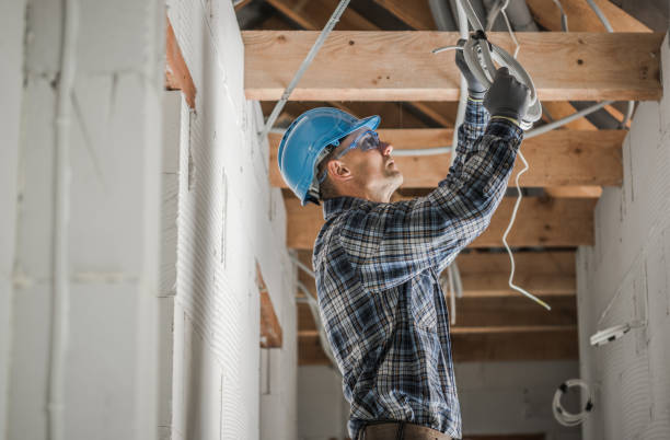 Best Electric Panel Repair  in Dormont, PA